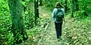 Enjoying a quiet hike through a springtime forest. Enjoying a quiet hike through a springtime forest.