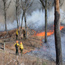firefighters patrolling a prescribed burn