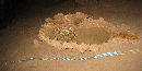Bird Bath Conulite