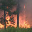A prescribed fire burns in Lithograph Canyon