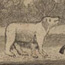 Lewis and Clark Kid's Pages