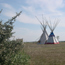 Tipis