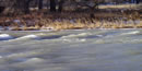 Surge flow usually occurs during winter and spring flows