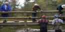 Phot of volunteers building a hiking bridge on the Manistee National Forest