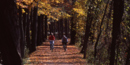 Biking the Towpath Trail. Photo by Tom Jones.