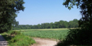 Farm Trail image by Tim Donovan.