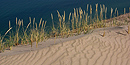 Dune grass thrives on the Grand Sable Dunes near Grand Marais, Michigan, in Pictured Rocks National Lakeshore.