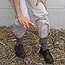 Spraying ankles and socks (Image from Centers for Disease Control and Prevention)