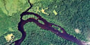 An aerial photo of the river splitting and a tributaru joining from the north