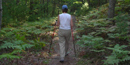 Hiking Trails