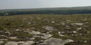 Limestone and flint on the surface of the soil kept it from being tilled
