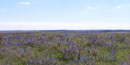 Spring Hill Ranch at Tallgrass Prairie National Preserve