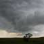 Weather at the preserve