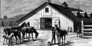 1875 Frank Leslie's Illustrated image of President Grant's stable