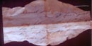 Letter fragment found at site