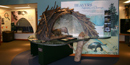 A beaver display at the Kabetogama Lake Visitor Center.