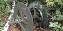 A metal wheel from the mining activities on Little American Island.