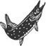 Northern pike graphic