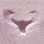 Bird Print in the Snow