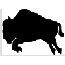 Bison Silhouette