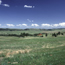 Open Prairie