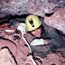 Wind Cave Trip Reports