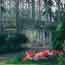 Krohn Conservatory