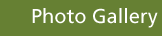 photo gallery