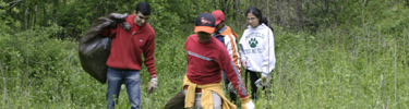 Volunteers assist with invasive plant removal. NPS Photo by Sara Guren.