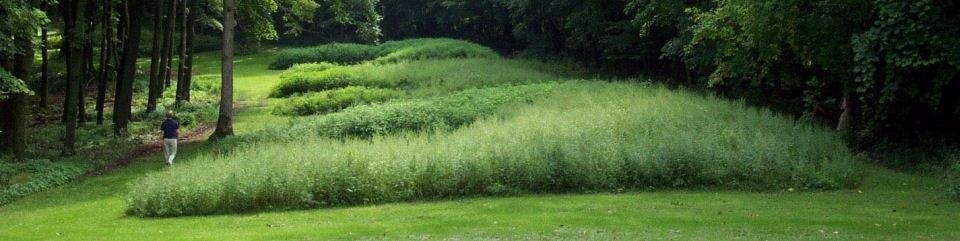 A quiet summer walk through the Marching Bear Group of effigy mounds