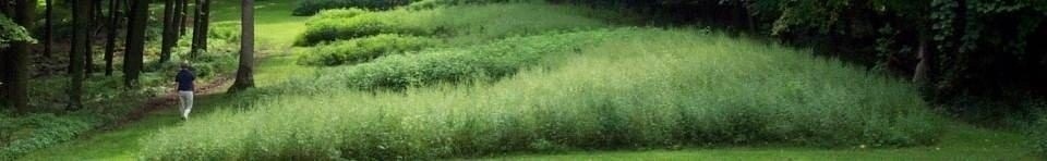 A quiet summer walk through the Marching Bear Group of effigy mounds