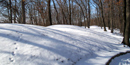 2000 Year Old Burial Mounds at Fire Point 2000 Year Old Burial Mounds at Fire Point