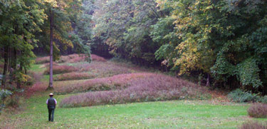 Marching Bear Effigy Mound Group
