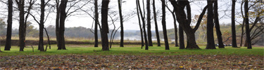 Poteau River seen through trees
