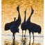 America the Beautiful - National Parks and