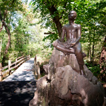 Ask about accessiblity on the Carver Trail.