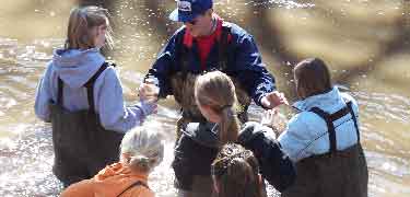 Students Make Water Quality Check in Cub Creek