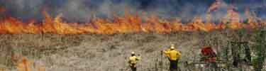 Controlled Burn