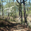 Relax on a shady park trail.