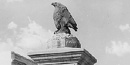black and white photo of bronze eagle on top of limestone black and white photo of bronze eagle on top of limestone