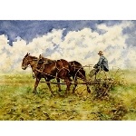 2013 Year of the Homesteader