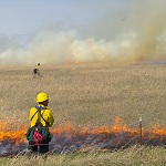 Native Prairie Restoration Video