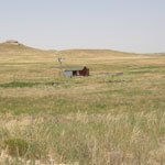 Cattle drives go through the monument a couple of times a year.