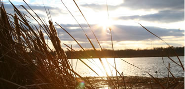 sunset on post bayou - Ed Wood
