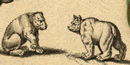 Bears from historic french map Bears from historic french map