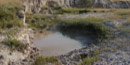 The white water of Sage Creek The white water of Sage Creek
