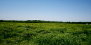 Prairie Prairie