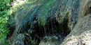 Close up of spring water dripping over algae covered rock formation. Close up of spring water dripping over algae covered rock formation.