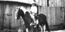 A boy and horse on the Truman farm in Grandview, Missouri. Credit: Truman Library A boy and horse on the Truman farm in Grandview, Missouri. Credit: Truman Library