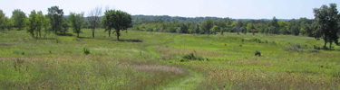 The Ice Age trail winds through the rolling hills of Waukesha County.